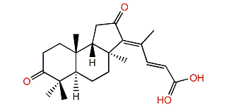 Globostelletin E